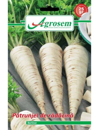 Rădăcinoase - Semințe Pătrunjel de Rădăcină Berliner