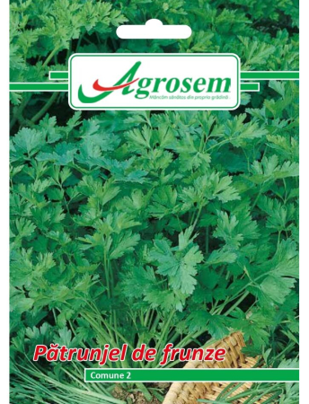 Seminţe și material săditor - Semințe pătrunjel frunze Comune 2, 5 gr