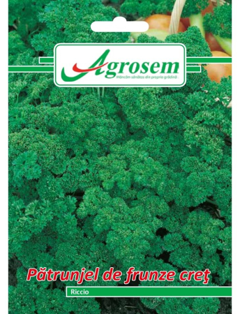 Semințe Hobby - Semințe pătrunjel frunze creț Riccio, 5 gr