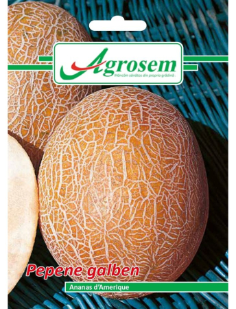 Semințe Hobby - Semințe pepene galben Ananas d'Amerique, 2 gr