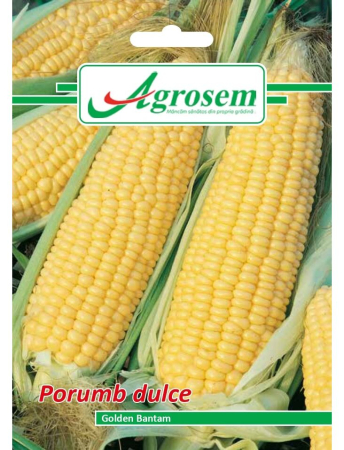 Semințe Hobby - Semințe porumb dulce Golden Bantam, 10 gr
