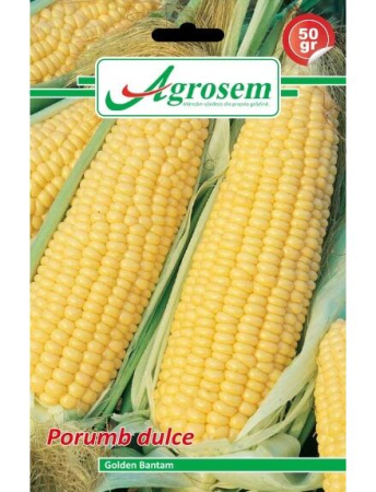 Porumb zaharat - Semințe Porumb Dulce Golden Bantam