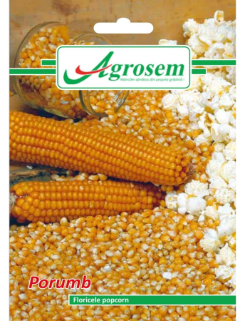 Semințe Hobby - Semințe porumb Floricele Popcorn, 8 gr