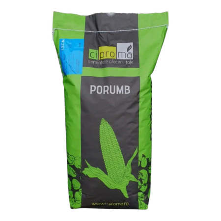 Porumb - Semințe Porumb Fundulea 475M