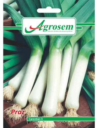 Semințe Hobby - Semințe praz Carentan 3, 2 gr