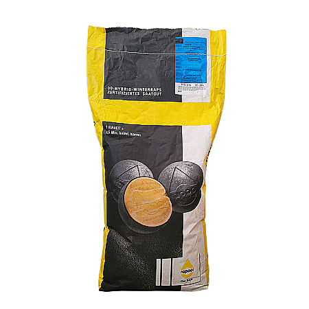 Seminţe și material săditor - Seminţe Rapiță Dalton