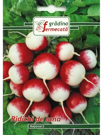 Semințe Hobby - Semințe ridichi de lună National 2, 3 gr