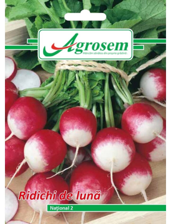 Semințe Hobby - Semințe ridichi de lună Național 2, 6 gr