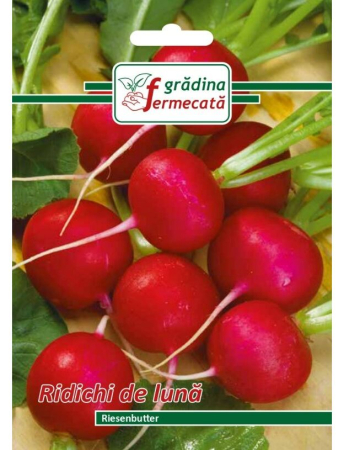Seminţe și material săditor - Semințe ridichi de lună Riesenbutter, 3 gr