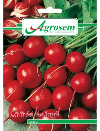 Semințe Hobby - Semințe ridichi de lună Saxa 2, 6 gr