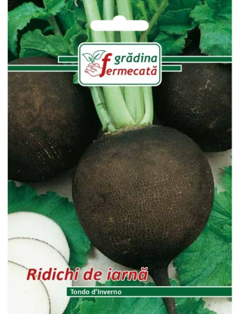 Seminţe și material săditor - Semințe ridichi negre Tondo d'Inverno, 3 gr