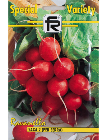 Rădăcinoase - Semințe Ridichi Saxa 2 F1
