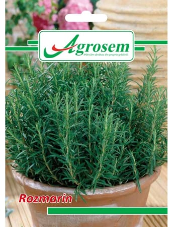 Semințe hobby plante aromatice - Semințe Rozmarin, 0.05 gr
