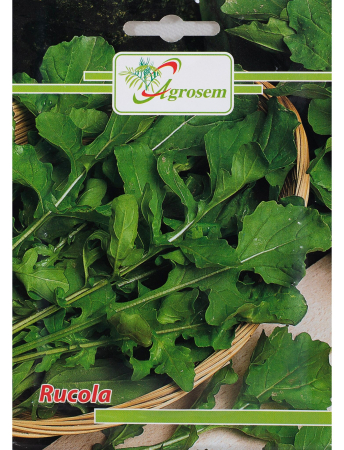 Semințe hobby plante aromatice - Semințe Rucola, 7 gr