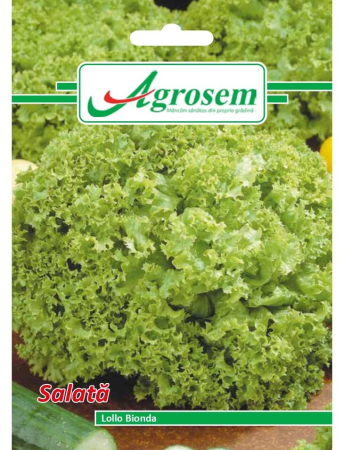 Semințe Hobby - Semințe salată Lollo Bionda, 2 gr