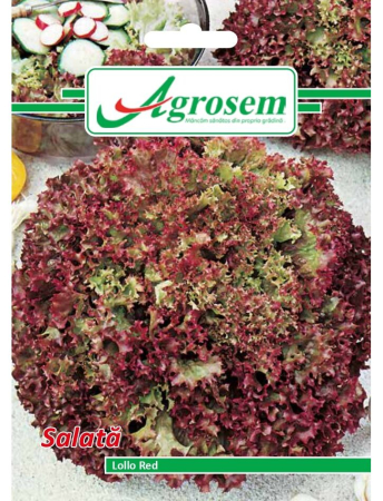 Semințe Hobby - Semințe salată Lollo Red, 2 gr