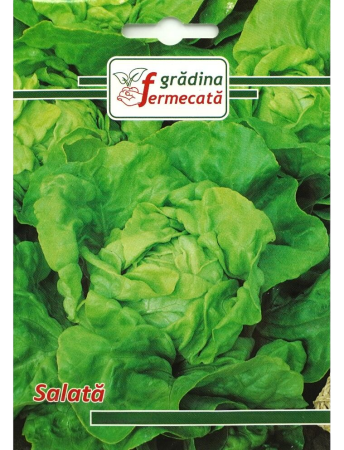 Semințe Hobby - Semințe salată S. Anna, 2 gr