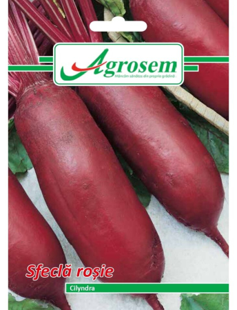 Semințe Hobby - Semințe sfeclă roșie Cilyndra, 5 gr