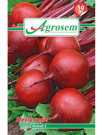 Rădăcinoase - Semințe Sfeclă Roșie Detroit 2