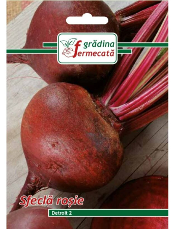 Semințe hobby legume - Semințe sfeclă roșie Detroit 2, 3 gr