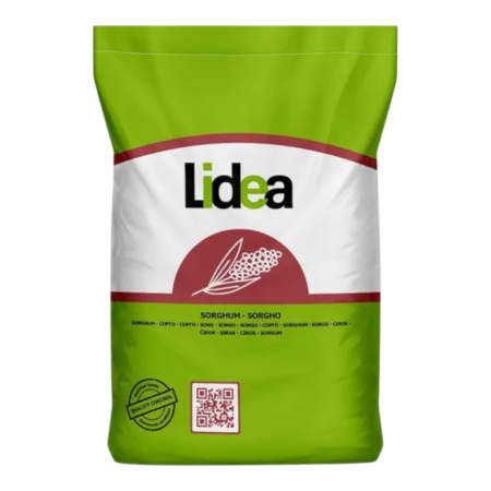 Sorg - Semințe sorg cu rezistență la nicosulfuron LID ZEALANDIA SU