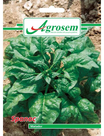 Semințe Hobby - Semințe spanac Matador, 18 gr