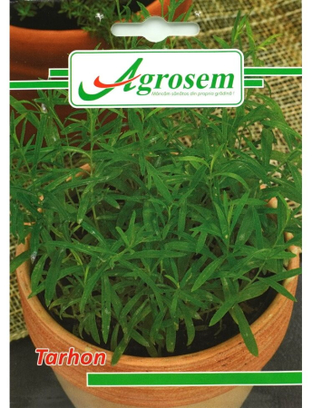 Semințe hobby plante aromatice - Semințe Tarhon, 0.5 gr