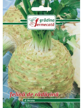 Semințe hobby legume - Semințe țelină de rădăcină Di Verona, 1 gr