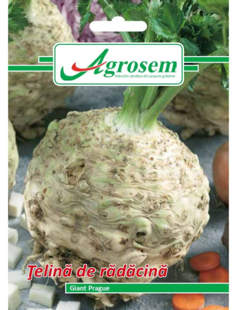 Semințe Hobby - Semințe țelină de rădăcină Giant Prague, 2 gr