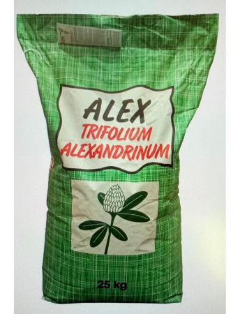 Seminţe și material săditor - Semințe Trifoi Alb Alexandrinum