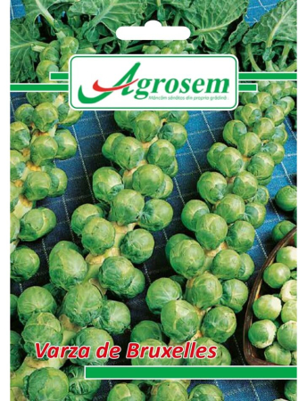 Semințe Hobby - Semințe varză de Bruxelles, 5 gr