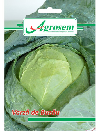 Seminţe și material săditor - Semințe varză de Buzău, 1 gr