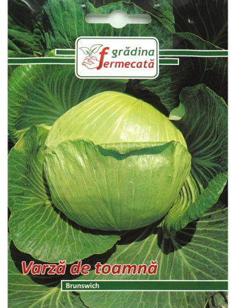 Semințe hobby legume - Semințe varză de toamnă Brunswick, 3 gr