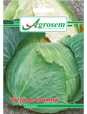 Semințe Hobby - Semințe varză de toamnă Brunswick, 5 gr