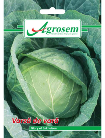 Semințe Hobby - Semințe varză de vară Glory of Enkhuizen, 5 gr