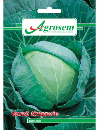 Semințe Hobby - Semințe varză timpurie Ditmarch, 5 gr
