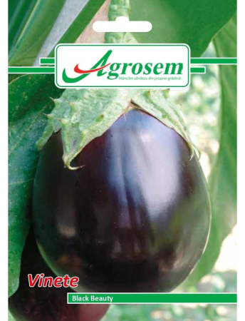 Semințe Hobby - Semințe vinete Black Beauty, 2 gr
