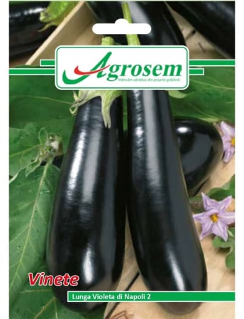 Seminţe și material săditor - Semințe vinete Lunga Violeta di Napoli 2, 2 gr