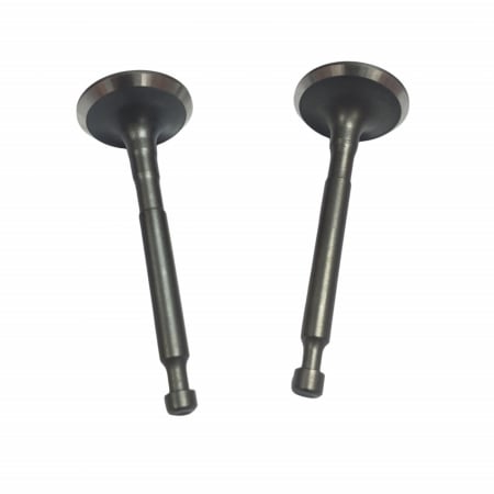 Piese si accesorii  - Supape compatibilie Honda GX 160 (5.5hp, 6.5hp, 168F), Elefant