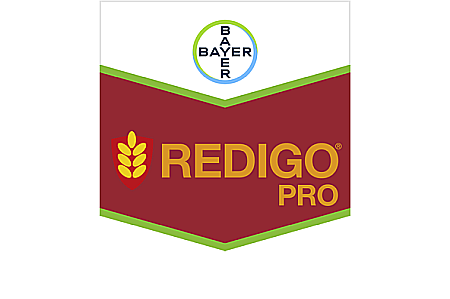 Tratament sămânță - Fungicid Redigo Pro 170 FS