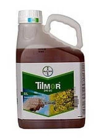 Rapiță - Fungicid Tilmor 240 EC
