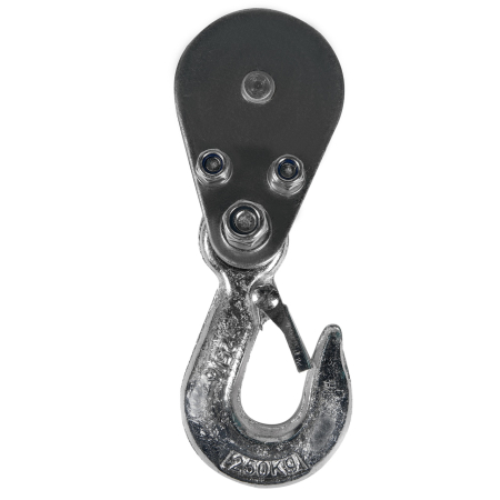 Troliu electric (macara) 250kg 450W fir 3mm [6]