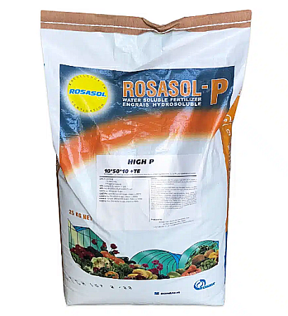 Îngrășăminte - Îngrășământ Rosasol NPK 10.50.10+TE