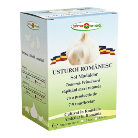 Usturoi, arpagic, cartofi - Usturoi românesc de sămânță soi Madaidor, 5 căpățâni