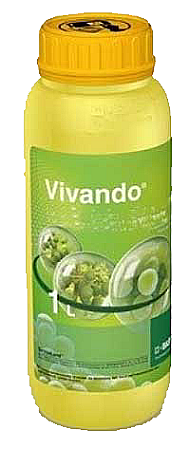 Viță de vie - Fungicid Vivando