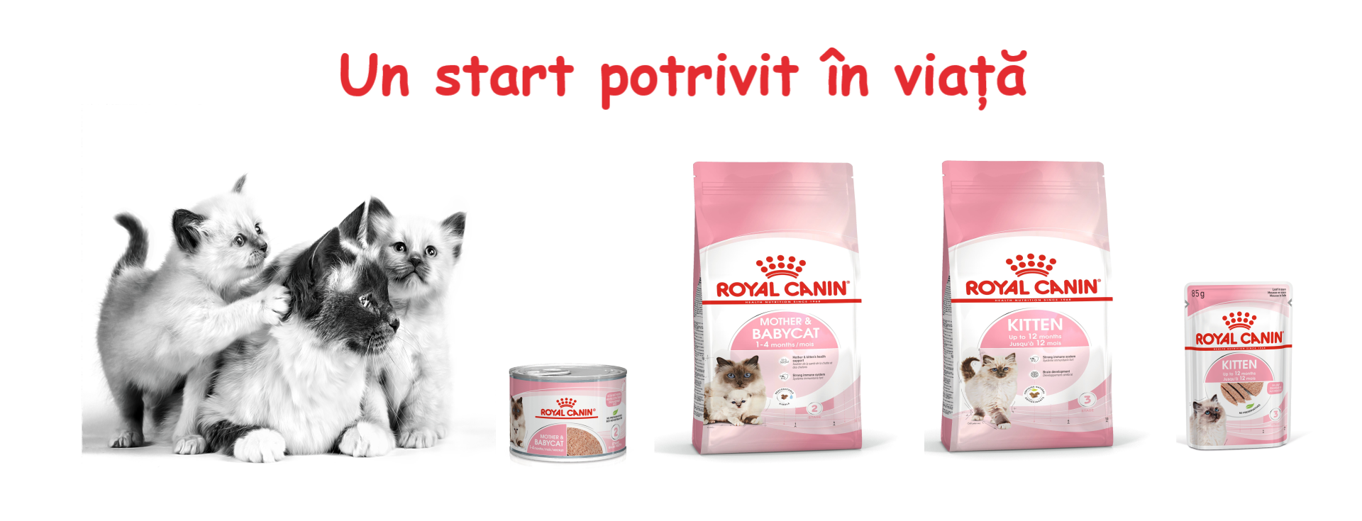 Royal Canin