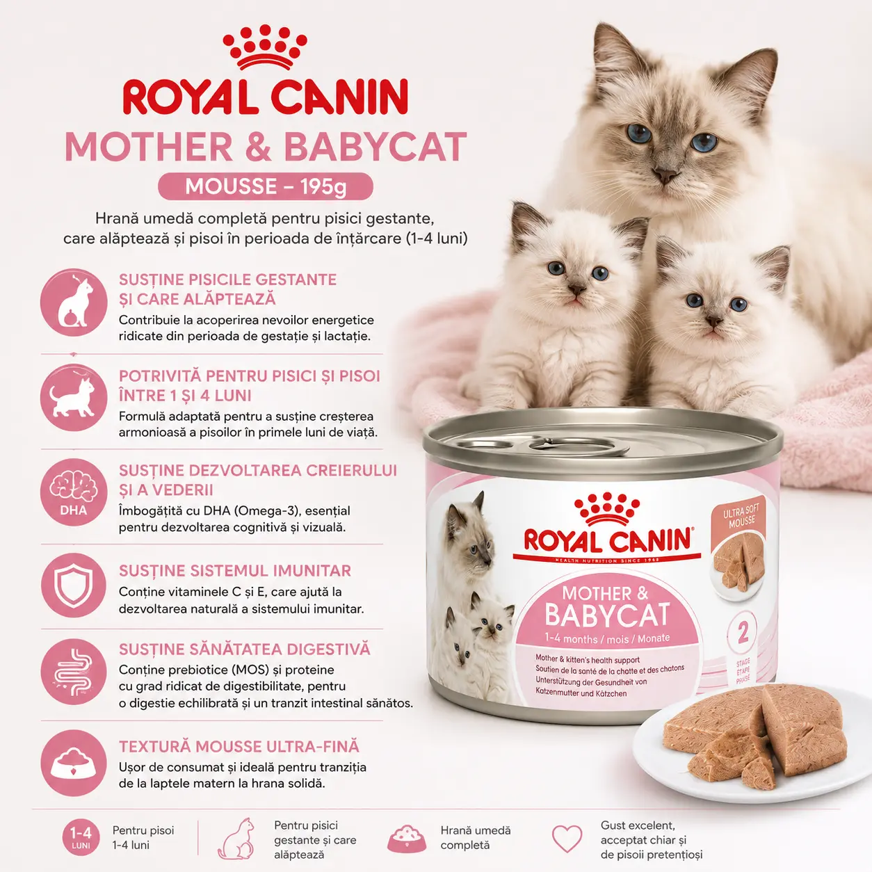 Beneficiile Mancarii Umede Royal Canin Mother & Baby Cat Mousse 195g