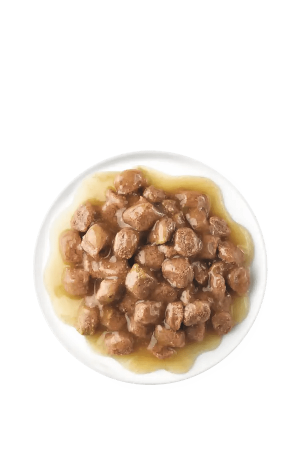 ADVANCE Sterilised – Hrană umedă cu curcan pentru pisici adulte sterilizate (85 g) [2]