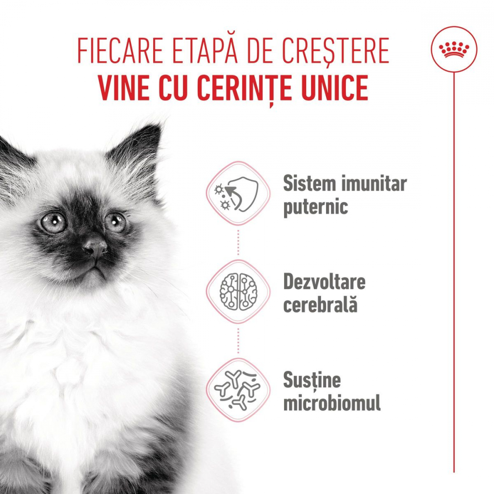 Royal Canin Kitten 10kg [2]