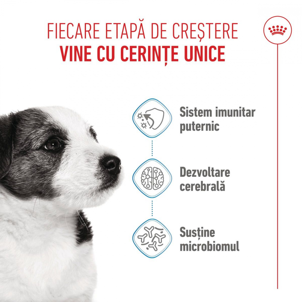 Royal Canin Mini Puppy 4kg [2]